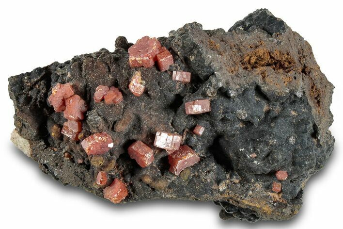 Small Red Vanadinite Crystals on Manganese Oxide - Morocco #292898